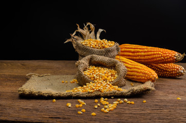 Dried corn in sackbag on wooden table