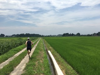 Man running through green rice paddy fields