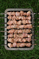 Preparing for a hearty dinner. Skewers of turkey meat.