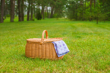 Picnic basket with blue white napkin in park