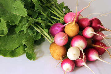 Fresh radish on white background