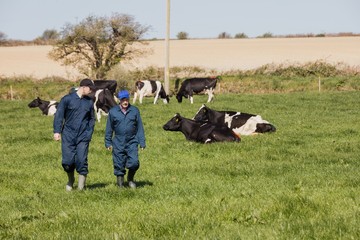 Farm workers walking on grassy field