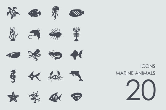 Set of marine animals icons