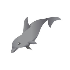 Vector Illustration. Grey Dolphin Isolated on White.