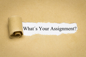 What´s Your Assignment