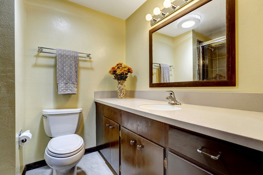 Bathroom in brown color with beige walls