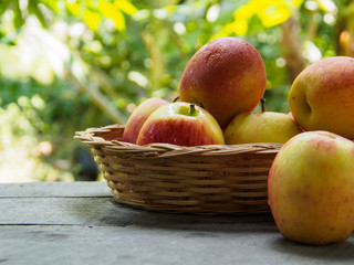 Apple group in basketry side view