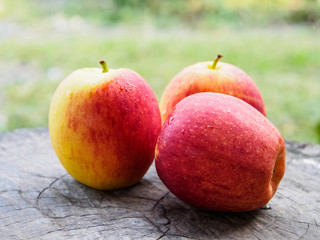 Apple on wooden