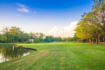 Green summmer public park with tree branch