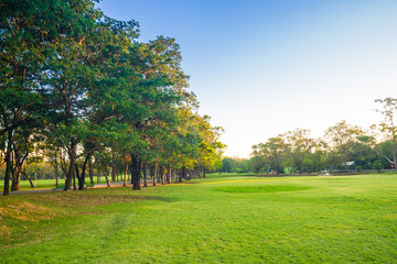 Fototapeta na wymiar Sunset yellow beam shade on green lawn with trees