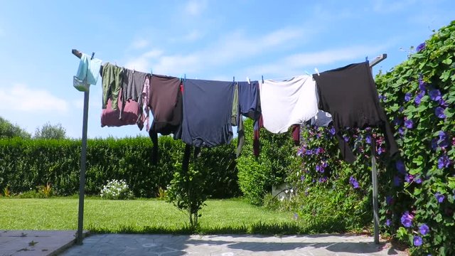exterior clothesline with colorful shirts adult and baby clothes next to green garden and blue sky 
