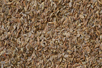 Dill seed background