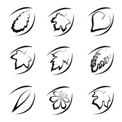 Simplified set of leaves from different trees in the form of icons