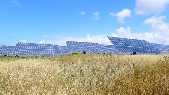 summer field with multiple energy photovoltaic solar panels and blue sky with clouds
