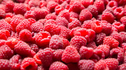 food background with raspberry
