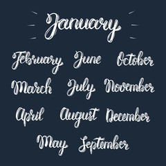 Trendy hand lettering set of months of the year. Brush handwritten names of months. Fashion graphics, art print. Calligraphic set in white ink. Vector