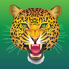 Illustration of the vector image of the head of a leopard with an open mouth
