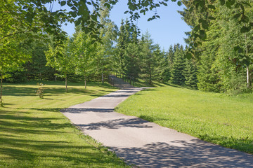 Asphaltierter Weg in den Park