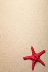 Fototapeta na wymiar Starfish On Sand