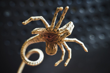 facehugger