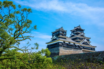 Fototapeta premium Kumamoto Castle, Japan.