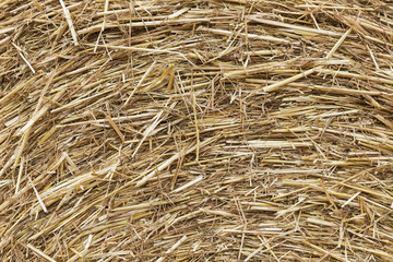 Haystack closeup