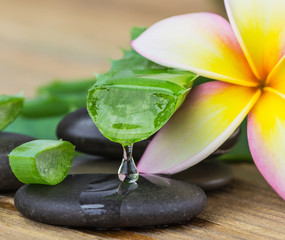 Aloe vera and frangipani flower on wooden