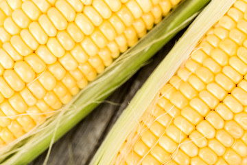 Grains of ripe corn