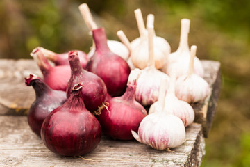 Onions and garlic on wooden table