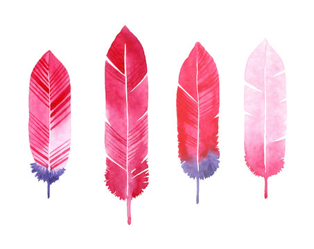 Watercolor feathers set. Vector hand drawn painted background.