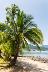 Fototapeta na wymiar Beautiful tropical beach at island Koh Chang