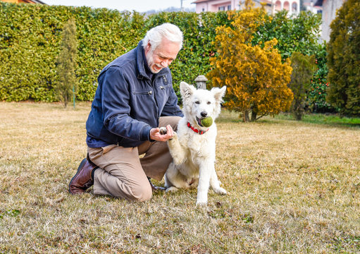 Man with White Swiss Shepherd puppy in the park.