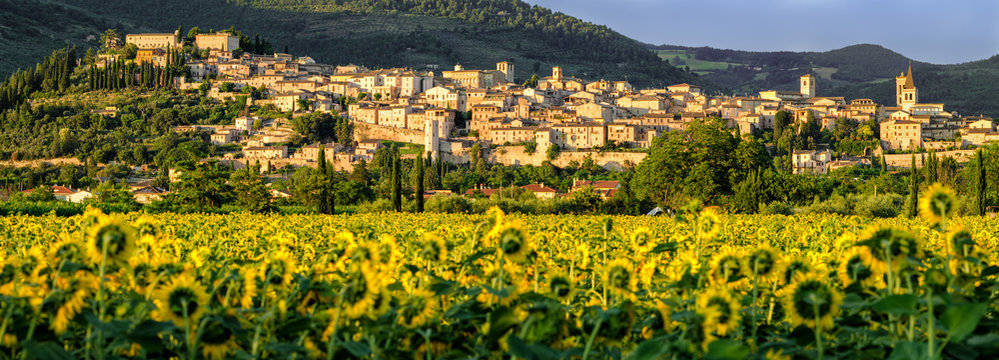 Spello (Umbria Italy)