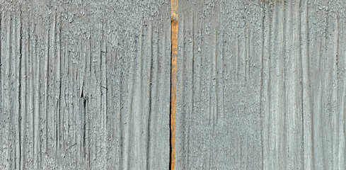 Naklejka premium The dried and peeled off paint on wooden plywood, background, texture series