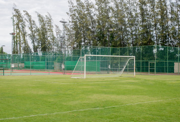 Fototapeta premium soccer field grass Goal at the stadium Soccer field