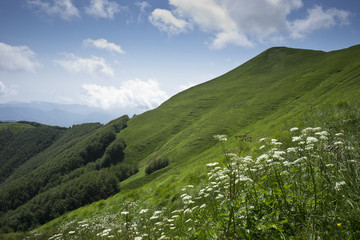 Obraz premium Spring on the Appennines