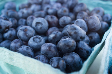 Fresh Organic Blueberries