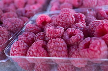 Fresh Organic Raspberries © Ezume Images