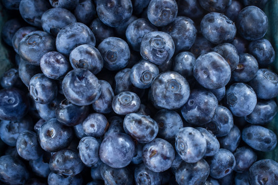 Fresh Organic Blueberries