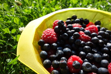 Trendy vegetarian food. Blueberries and raspberries in bowl. Close view from above. 