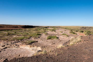 Grand Falls, Arizona
