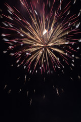 Fireworks celebration