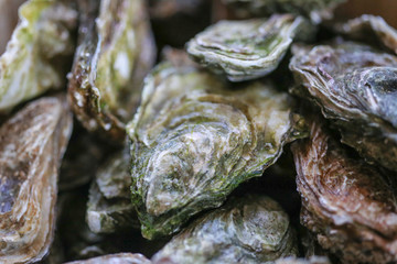huîtres