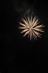 Fireworks celebration