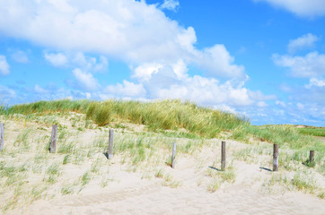 Fototapeta premium Dünenlandschaft mit Pfahlreihe 