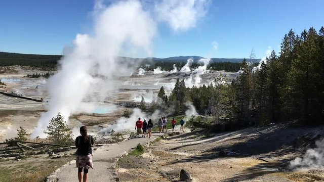 Norris Geyser Basin, Yellowstone National Park, USA
