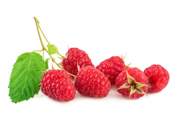 fresh organic raspberry