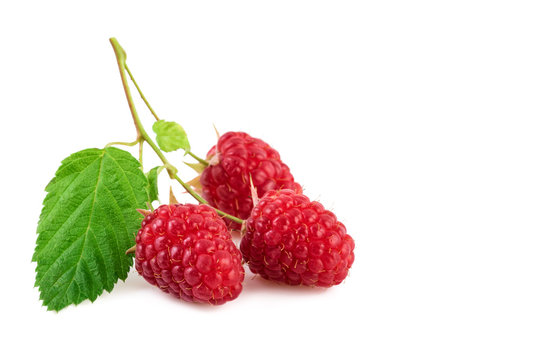 raspberries closeup