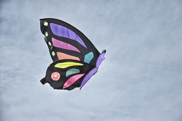 Colorful Kite flying in a cloudy sky