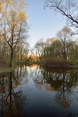 Trees reflected in a pond at sunset in the city Park of the Vict